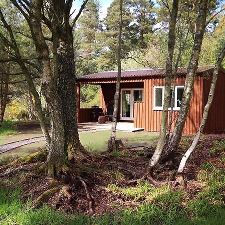 The Cabin At Easter Arr Auldearn Eksteriør billede